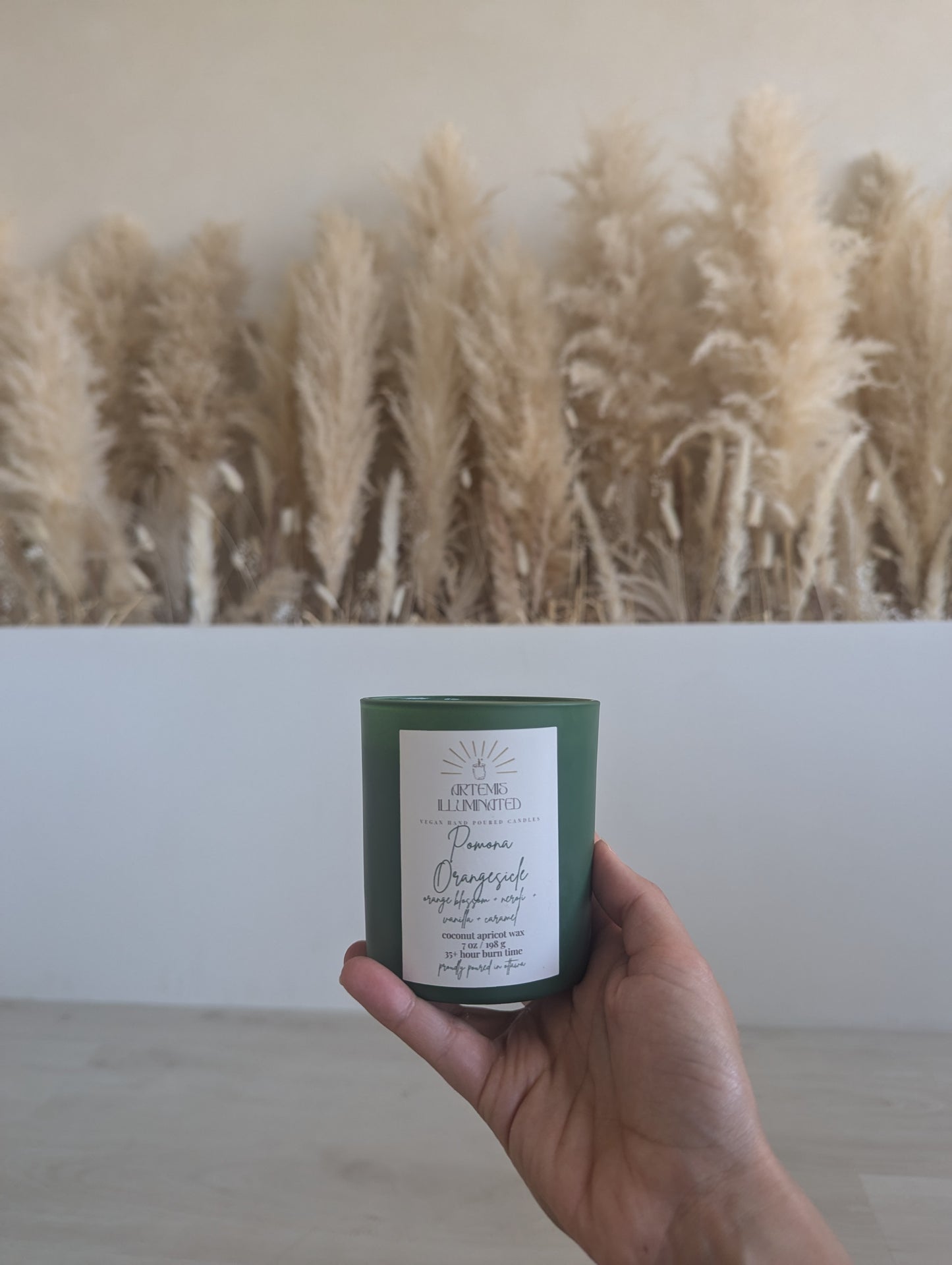 Pomona Orangesicle - 7 oz Coconut Apricot Wax Candle