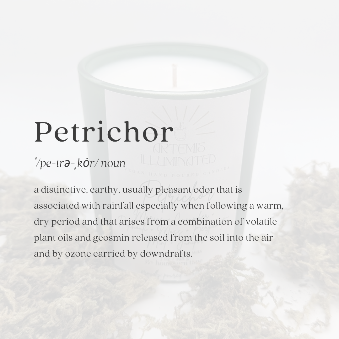 Petrichor - 7 oz Coconut Apricot Wax Candle