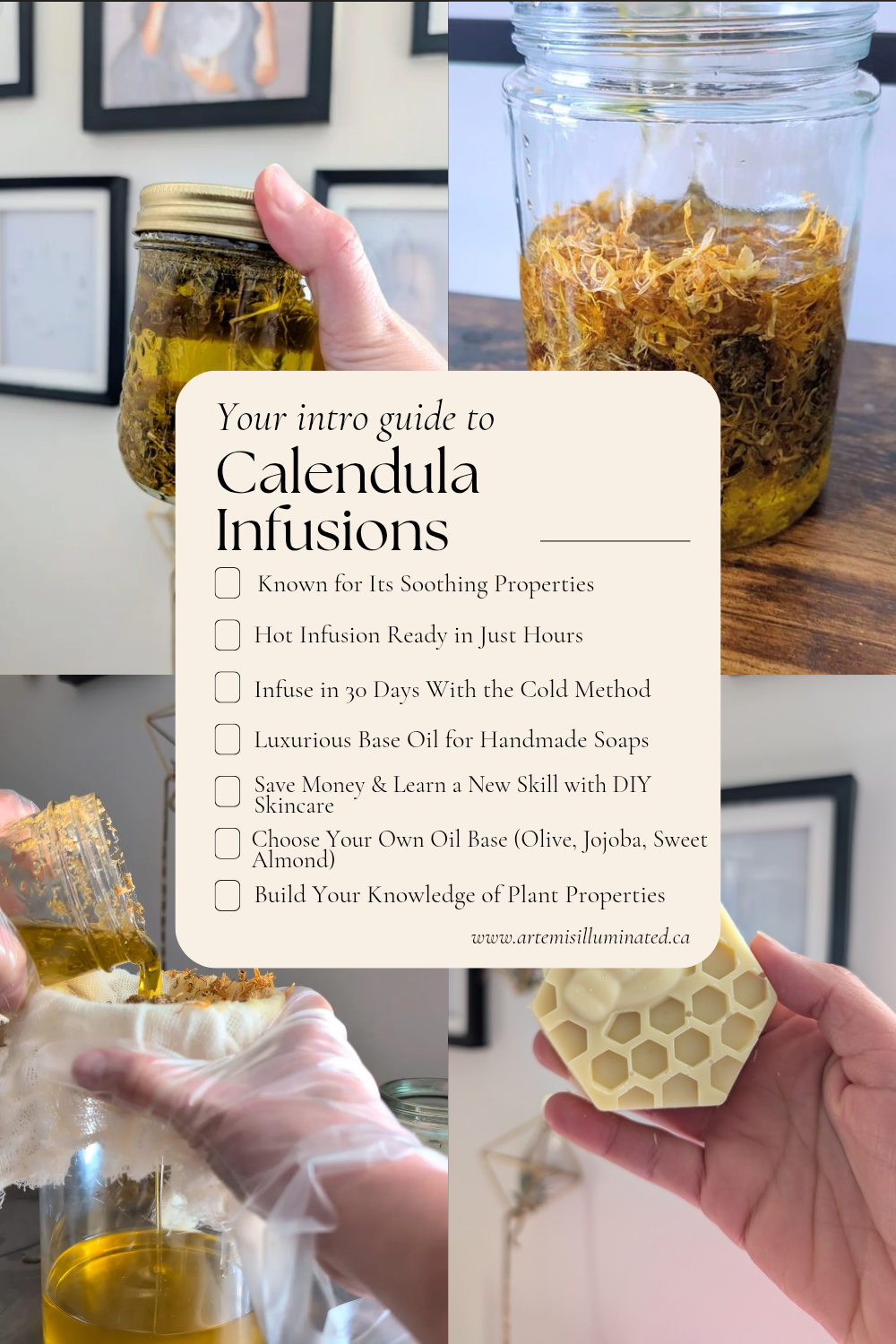 How to Make Calendula Oil Infusions at Home: A Complete Guide to the Cold Infusion Method