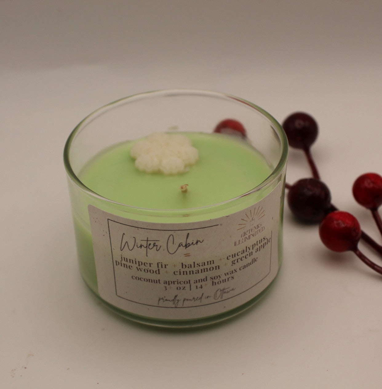 Winter Cabin - 3 oz Coconut Apricot Wax Candle