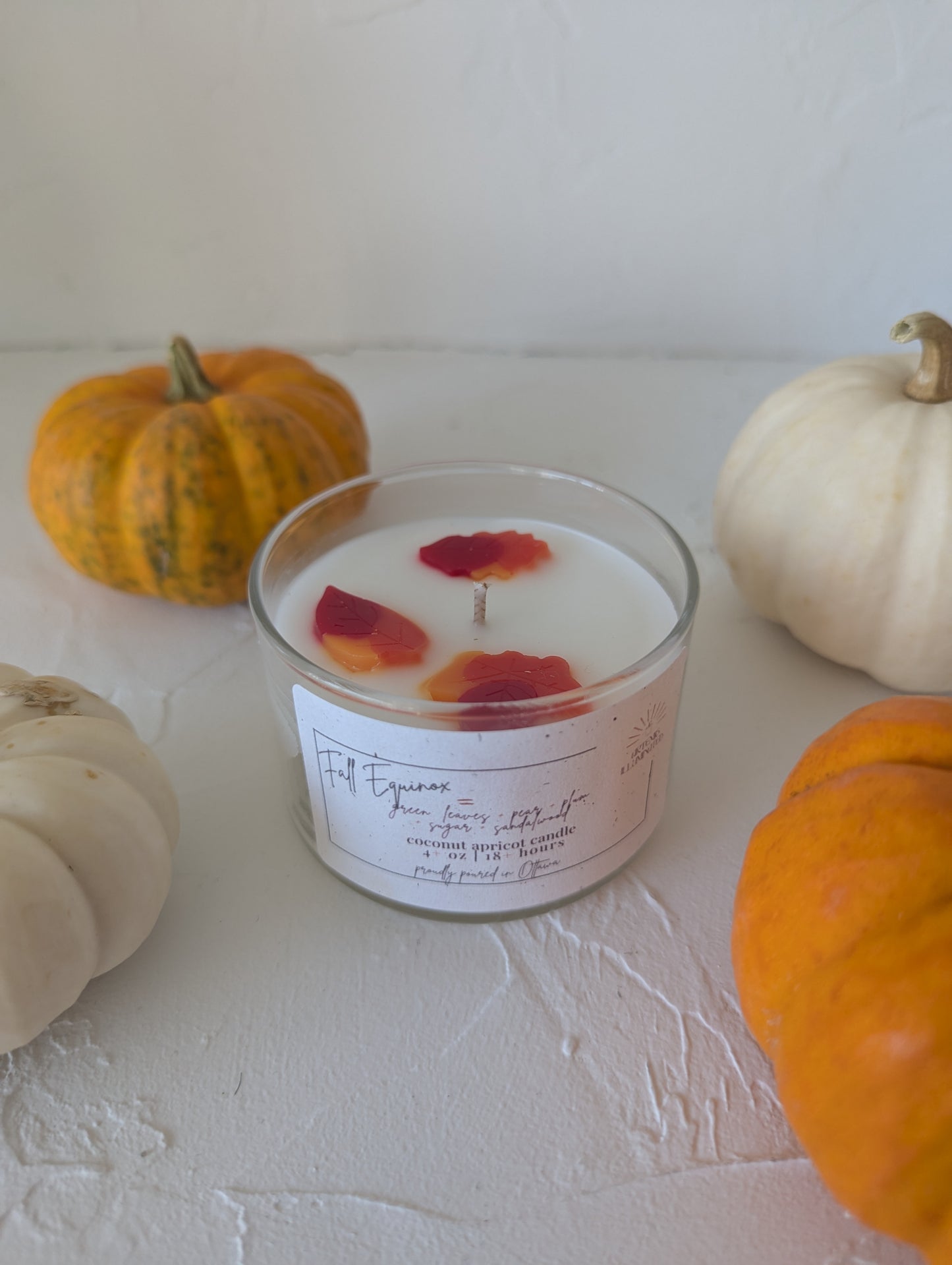 Fall Equinox - 4 oz Coconut Apricot Wax Candle with Leaf Embed