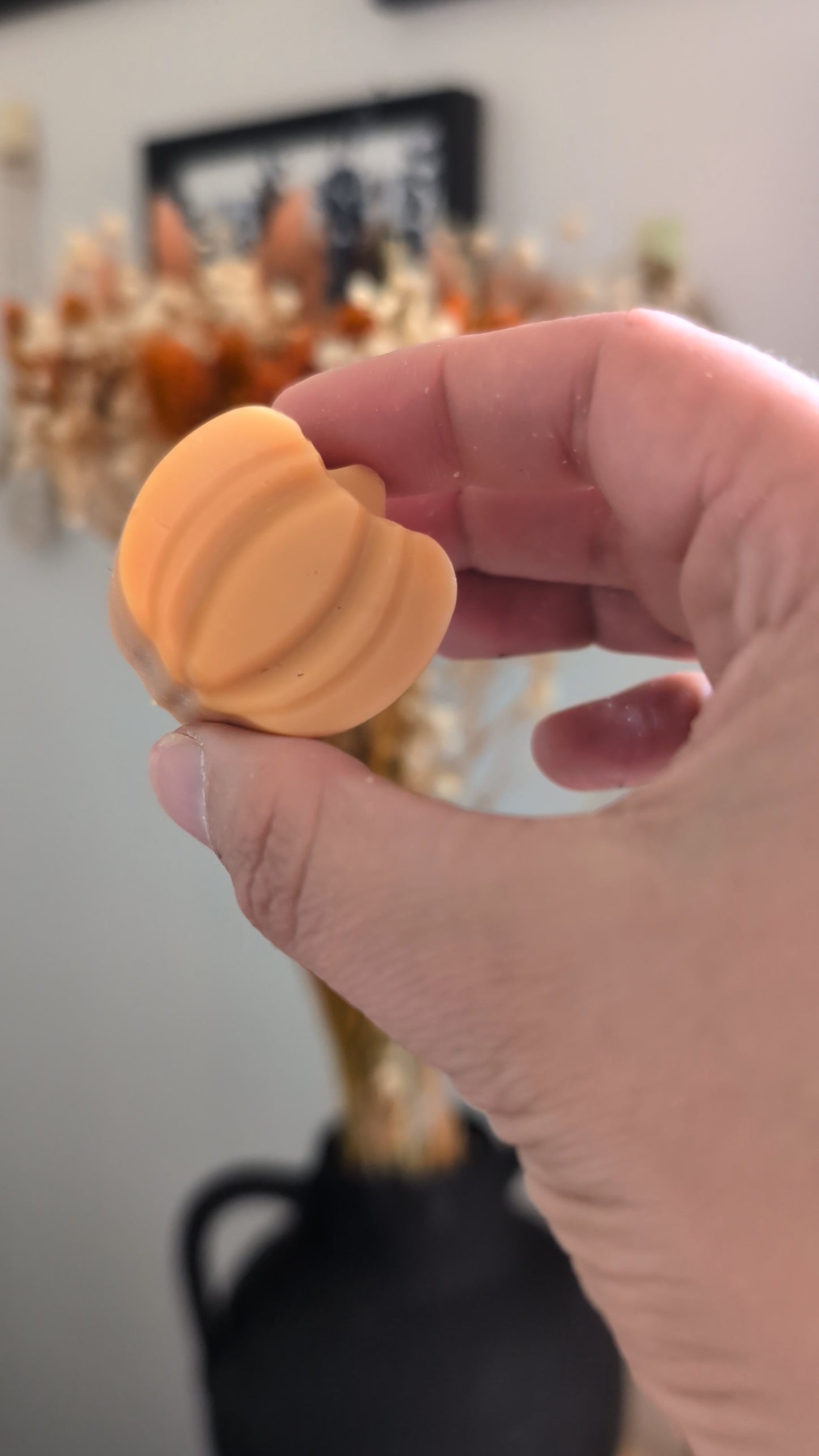 Oh My Gourd - 6 Pack of Wax Melts