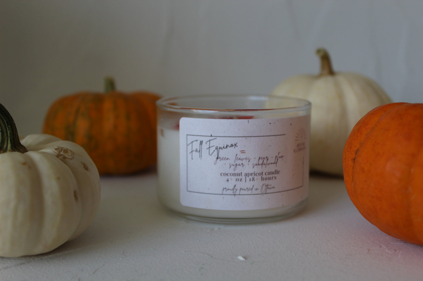 Fall Equinox - 4 oz Coconut Apricot Wax Candle with Leaf Embed