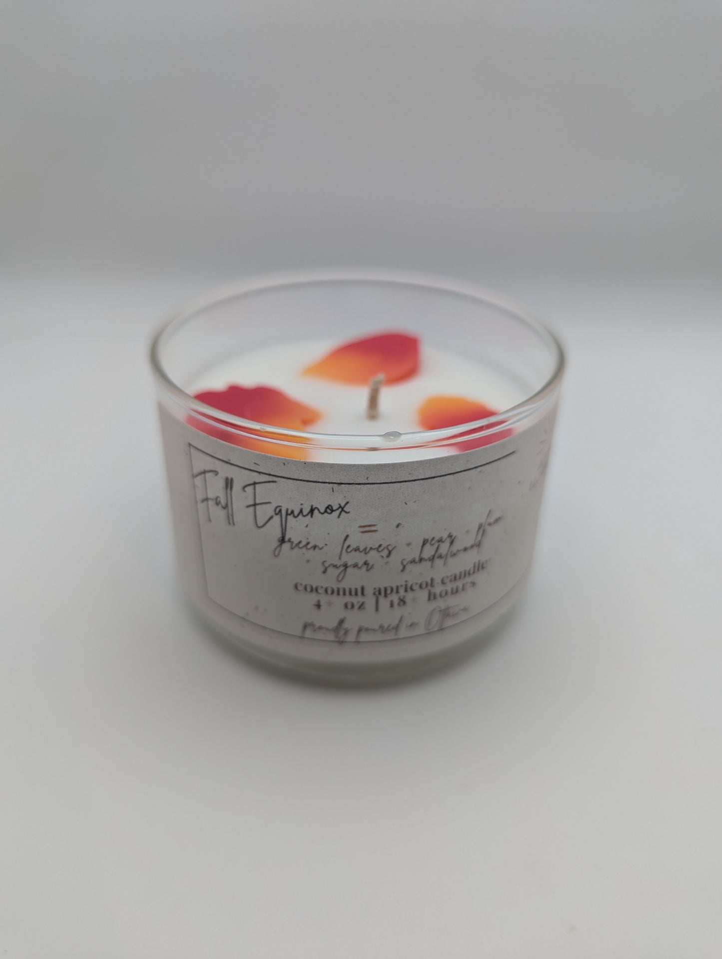Fall Equinox - 4 oz Coconut Apricot Wax Candle with Leaf Embed