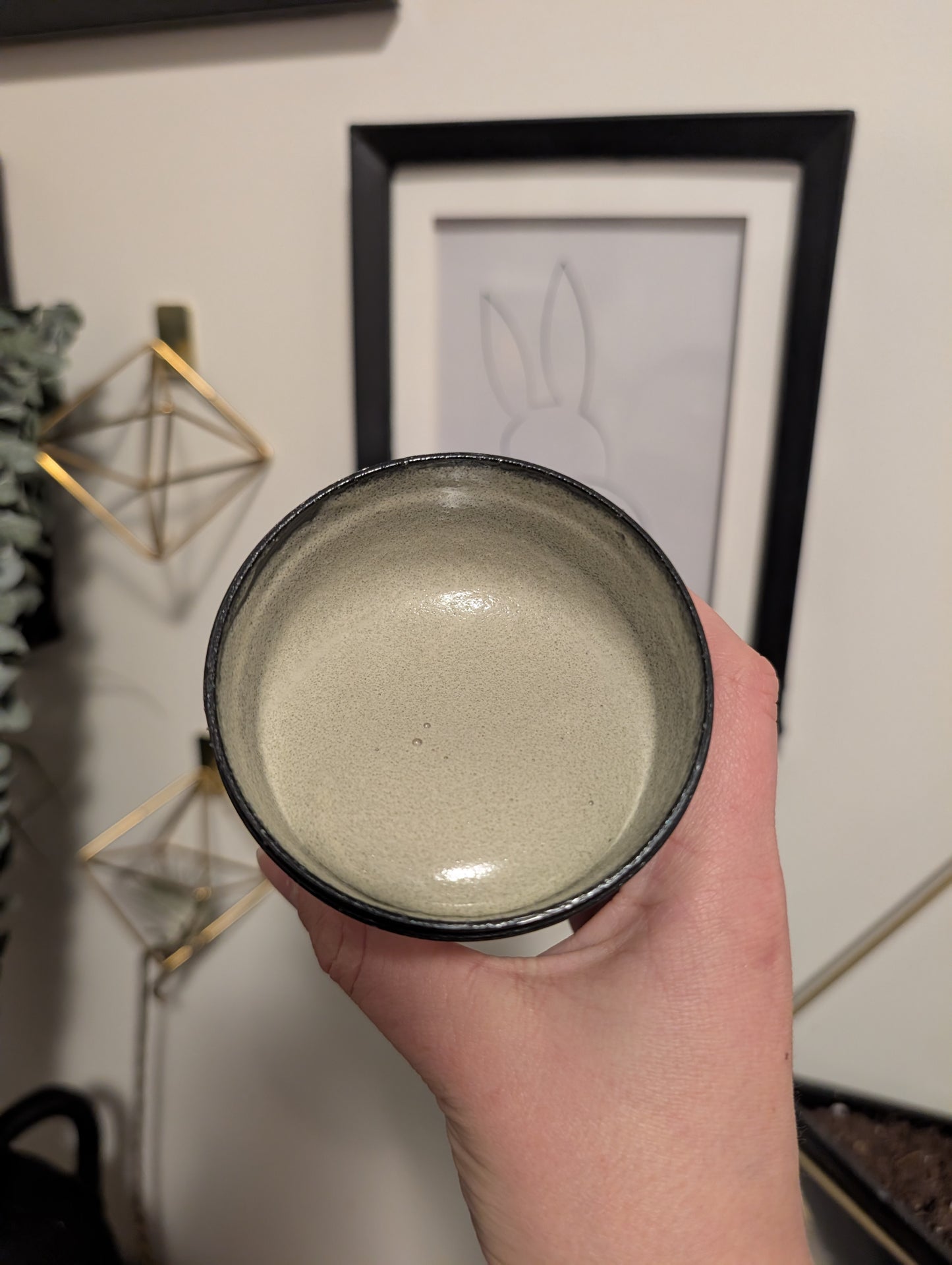 Citronella + Eucalyptus Sugar Scrub and Foaming Cleanser